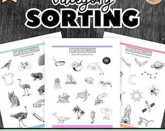 Hojas de trabajo de clasificación de categorías, discriminación visual, actividad de categorización, hojas de trabajo Montessori imprimibles para niños en edad preescolar y jardín de infantes