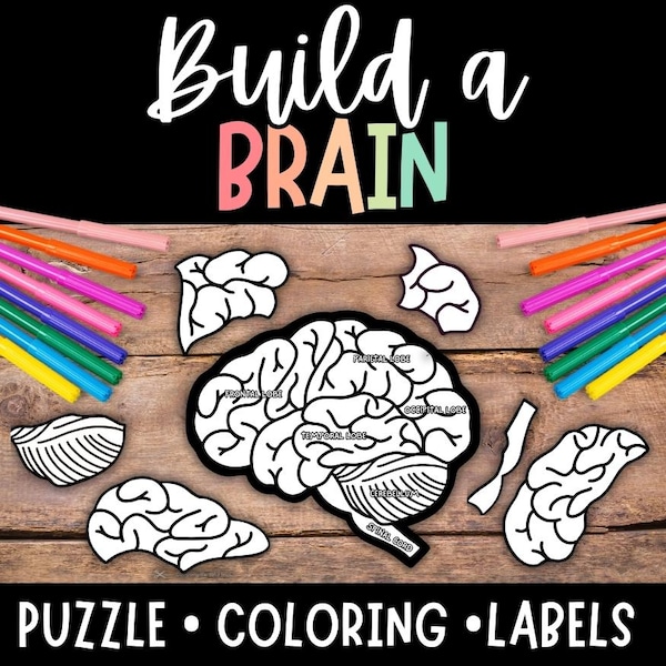 May include: Black and white printable brain puzzle with labels for the different parts of the brain. The puzzle includes the frontal lobe, parietal lobe, temporal lobe, occipital lobe, cerebellum, and brain stem. The text "Build a Brain" is at the top of the image. The text "Puzzle - Coloring - Labels" is at the bottom of the image.