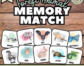 Forest Animal Memory Match, Animal Card Game, Pattern Recognition (PDF)