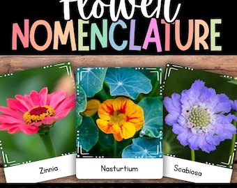 Flower Nomenclature Cards, A to Z Flowers, Spring Nomenclature, Flower Alphabet, 3 Part Cards, Kindergarten Reading, Preschool, First Grade
