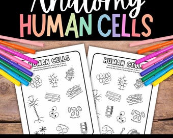 Cells Coloring Page, Human Body for Kids, Human Cell Coloring, Types of Cells, Science for Kids, Biology for Kids, Anatomy Coloring, Adults