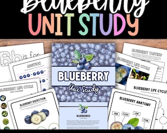 Blueberry Unit Study, Blueberry Worksheets, Blueberries Unit, Blueberry Activities, Blueberry Science, Blueberry Study