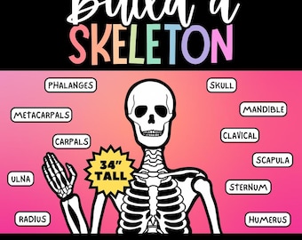 May include: A black and white illustration of a skeleton labeled with the names of the major bones. The skeleton is 34 inches tall and is standing on a pink background. The text "Build a Skeleton" is at the top of the image. The text "Includes Major Bone Labels" is at the bottom of the image.