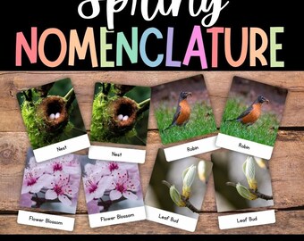 SPRING Nomenclature Cards, 3 Part Cards, Spring Activity, Montessori Vocabulary, Spring Reading, Spring Flash Cards, Preschool, Kindergarten