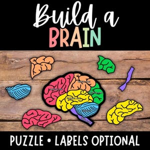 May include: A colorful brain puzzle with labeled sections, including frontal, parietal, temporal, and occipital lobes. The text "Build a BRAIN" is at the top, and "PUZZLE • LABELS OPTIONAL" is at the bottom. The puzzle pieces are on a wooden background.