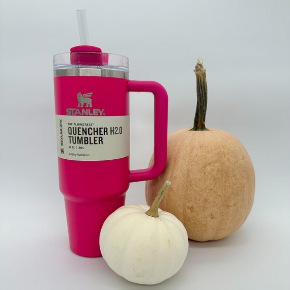 Stanley Adventure Quencher Tumbler: Restock, Where to Buy - Parade