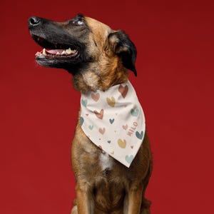 Bandana personnalisé pour animal de compagnie pour la Saint-Valentin : accessoire bohème pour chien en forme de coeur