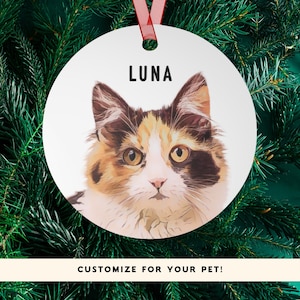 Custom Cat Name and Portrait Ornament, Personalized Cat Ornament With Name and Photo, Gift For Cat Parent, Stocking Stuffer Christmas Gift