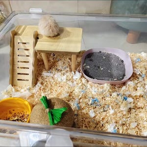 May include: A clear plastic hamster cage with a wooden ladder, table, and a small hamster. The cage also contains a pink sand bath, a yellow bowl, and a brown toy with green leaves, all set on wood shavings.