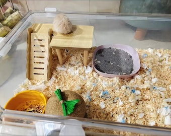 Natural Wood Hamster Platform with Ramp | 2-Tier Cage Stand for Hamsters, Gerbils, Small Pets