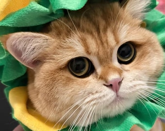 Hamburger Pet Hat for Cats Dogs, Funny Cute Burger Headwear Photo Prop for Small Medium Puppies Kittens
