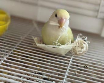 Natural Wood Bark Parrot Toy – Small Boat Foraging, Grinding, Food Bowl for Budgies, Cockatiels
