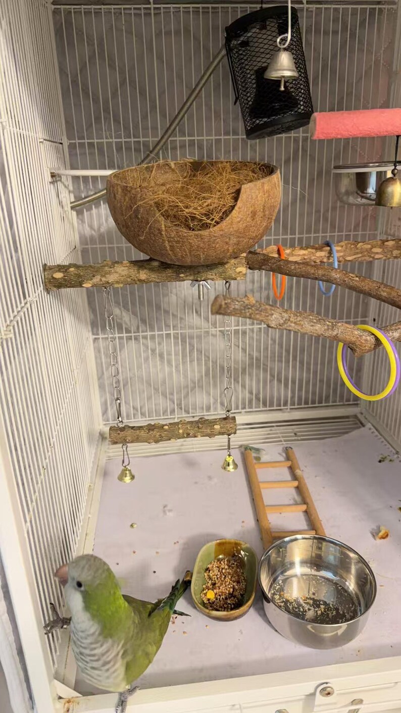Natural Coconut Shell Bird Nest With Perch/swing, Parrot Summer Cool ...