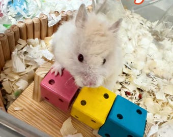 Natural Wood Hamster Hideout – Rubik’s Cube Chew Toy, Foraging Puzzle for Small Animals