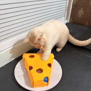以下が含まれることがあります： 黄色いフェルトチーズのおもちゃと遊ぶ、クリーム色の猫。おもちゃには丸い穴と青いボールが入っています。おもちゃは丸い薄い灰色のフェルトベースの上にあります。猫はおもちゃに集中しています。