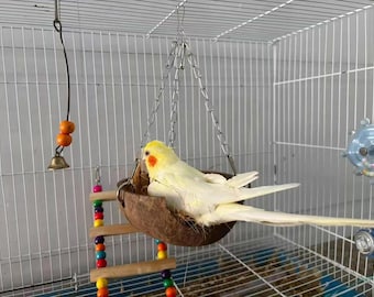 Natural Coconut Shell Bird Nest with Perch/Swing, Parrot Summer Cool Bed for Budgie, Lovebird, Cockatiel, 5 Styles Available