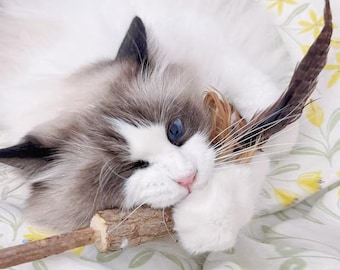 Silvervine Cat Toy Stick with Feather & Bell, Natural Wood Teething Chew Toy for Cats