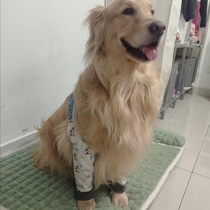 Armbågsskydd för medelstora och stora hundar, slitstarka benskydd för golden retrievers