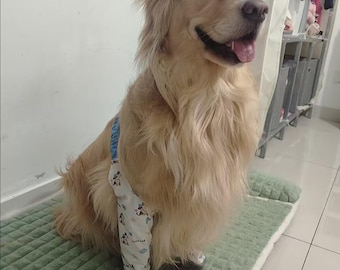Protectores de codo para perros medianos y grandes, cubrepatas antidesgaste para golden retrievers.