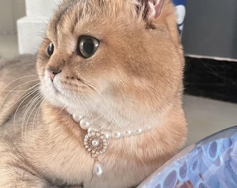 Vintage Faux Pearl Pet Necklace, Gem Collar for Cats Dogs, Devon Rex Blue Accessory