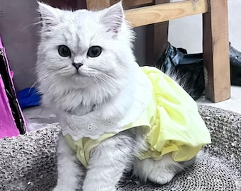 Pet Macaron Pumpkin Skirt | Lightweight Cat Dog Outfit, Anti-Shedding Clothes
