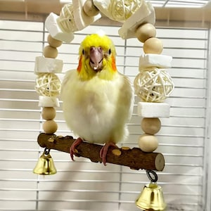 Zanthoxylum Wood Parrot Swing Toy with Cuttlefish Bone, Bells, Rattan Balls