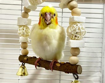 Zanthoxylum Wood Parrot Swing Toy with Cuttlefish Bone, Bells, Rattan Balls