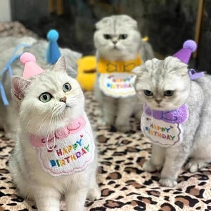 Cat top birthday costume