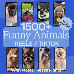 Mais de 1500 vídeos engraçados de animais | Vídeos de gatos | Vídeos de cachorros | TikTok, Instagram, YouTube Shorts | Vídeos virais | PLR para o sucesso nas mídias sociais