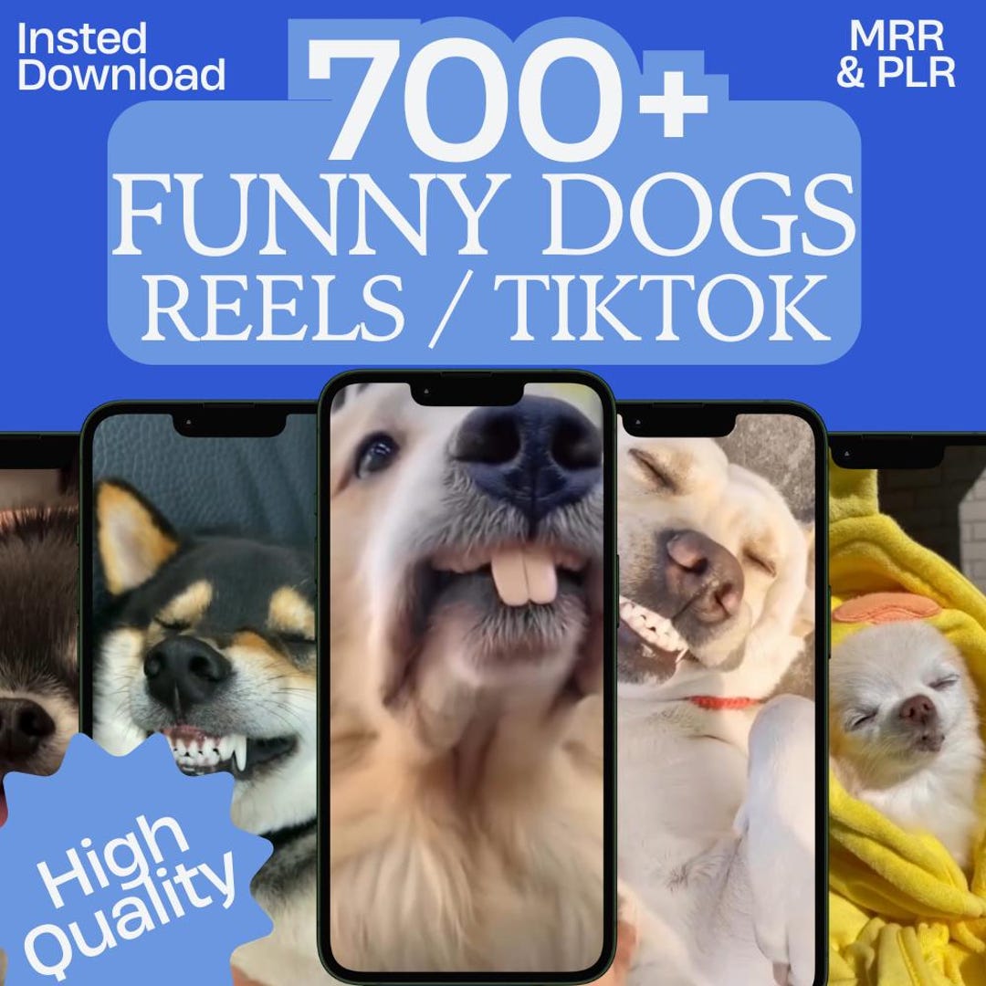 700 Viral Funnt Dogs Reels Videos Bundle Tiktok, Instagram, Youtube ...