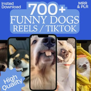 700 以上の面白い犬のビデオ パック | TikTok、Instagram、YouTube Shorts 向けのバイラル ペット クリップ | ソーシャル メディア向け PLR コンテンツ