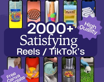TikTok、Instagram、YouTube向けの2000以上のバイラル満足動画 | 編集可能なASMRサウンド | バイラル動画 | ソーシャルメディアでの成功。