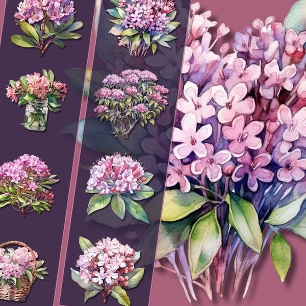 Mountain Laurel Clipart Bundle - High-Resolution PNG Files, Instant Download, Perfect for Personal & Commercial Use, Crafting and Decor