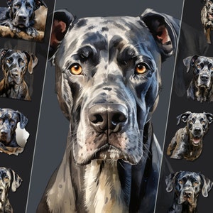 Lot de cliparts dogue allemand - illustrations de chien majestueux, fichiers PNG, arrière-plan transparent, parfait pour un usage personnel et commercial