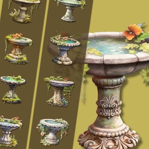 Bundle de cliparts bain d'oiseaux - fichiers PNG haute résolution, téléchargement immédiat, parfait pour un usage personnel et commercial, créations artisanales et décoration