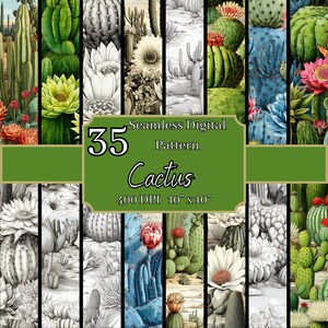 Paquete de patrones sin costuras con punta seca de cactus, inspirados en el desierto, 400 DPI, fondos digitales naturales de 10 x 10 pulgadas, para uso comercial y personal
