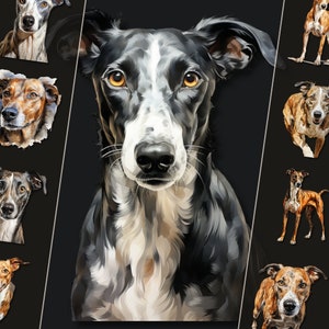 Bundle de cliparts lévrier - Illustrations canines gracieuses, fichiers PNG haute résolution, téléchargement immédiat, parfait pour un usage personnel et commercial