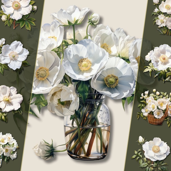 Cherokee Rose Clipart Bundle - High-Resolution PNG Files, Instant Download, Perfect for Personal & Commercial Use, Crafting and Decor