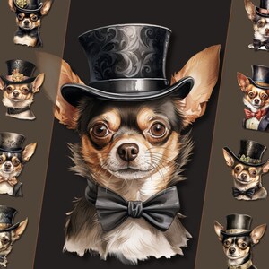 Chihuahua Top main image 0