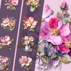 Wild Prairie Rose Clipart Bundle High-Quality PNG Files, Instant Download, Perfect for Personal & Commercial Use, Floral Illustrations