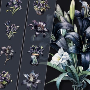 Pacote de clipart de lírio escuro - arquivos PNG de alta resolução, download instantâneo, perfeito para uso pessoal e comercial, decoração de artesanato floral escuro