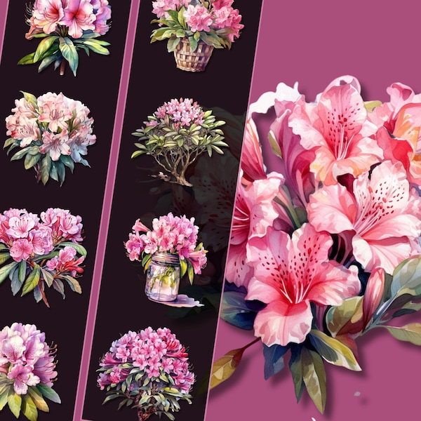 Rhododendron Clipart Bundle - High-Resolution PNG Files, Instant Download, Perfect for Personal & Commercial Use, Crafting and Decor