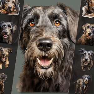 Lot de cliparts lévrier irlandais - illustrations canines majestueuses, fichiers PNG, fond transparent, parfait pour un usage personnel et commercial