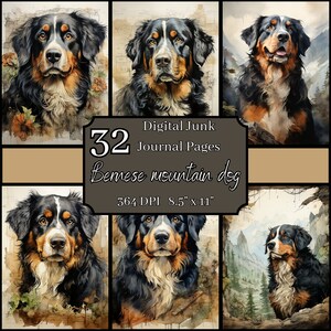 Berner Sennenhund, Junk Journal Seiten Bundle, 8.5x11, 364 DPI, kommerzieller & persönlicher Gebrauch, digitaler Download, Sennenhund Basteln
