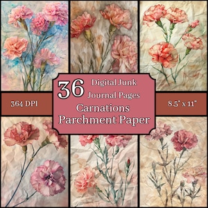 Paquete de páginas de diario basura vintage en papel pergamino con elegantes claveles, 8,5 x 11, 364 DPI, uso comercial y personal, descarga digital, floral