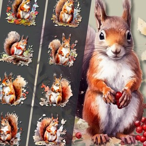 Bundle de cliparts écureuil roux de haie - Illustrations d'écureuil adorable, fichiers PNG, téléchargement immédiat, parfait pour un usage personnel et commercial