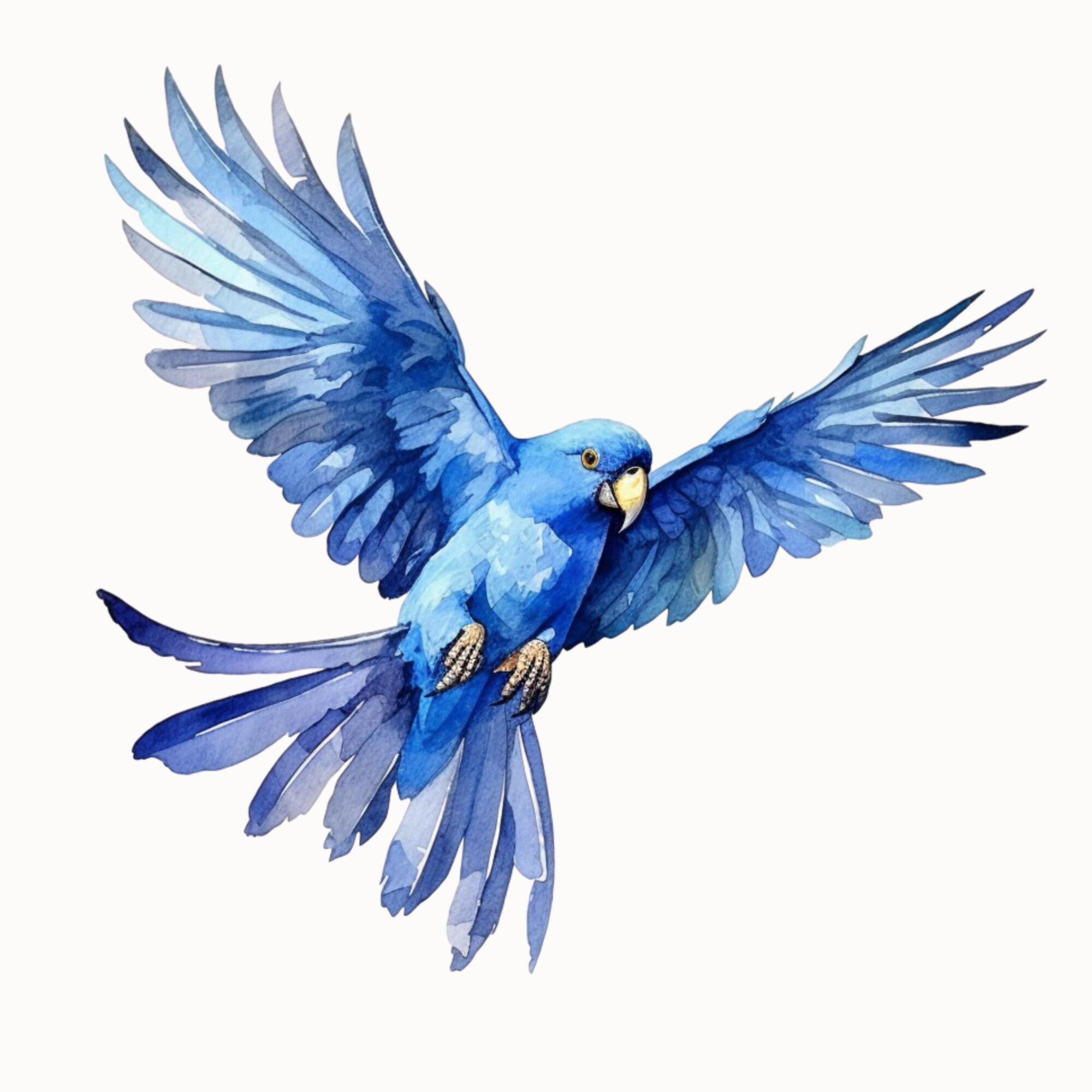Curated visual reference: Gallery Detail: Hyacinth Macaw Clipart Collection Png Graphics Perfect For DIY