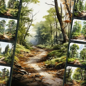 Duitse bospad clipartbundel - serene natuurillustraties, png-bestanden, witte achtergrond, perfect voor persoonlijk en commercieel gebruik