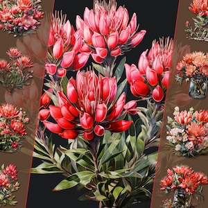 Bundle de clipart indien pinceau - belles illustrations de fleurs sauvages, fichiers PNG, téléchargement immédiat, parfait pour un usage personnel et commercial