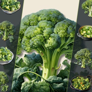 Lot de cliparts végétariens brocoli, format PNG, pour créations artistiques, journaux indésirables et création numérique, pour usage personnel et commercial